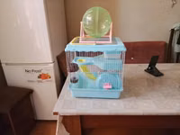 Akvarium balıqları ilə barter olunur.Uzunluğu 27,Eni 28, Hündürlüyü — picha 2