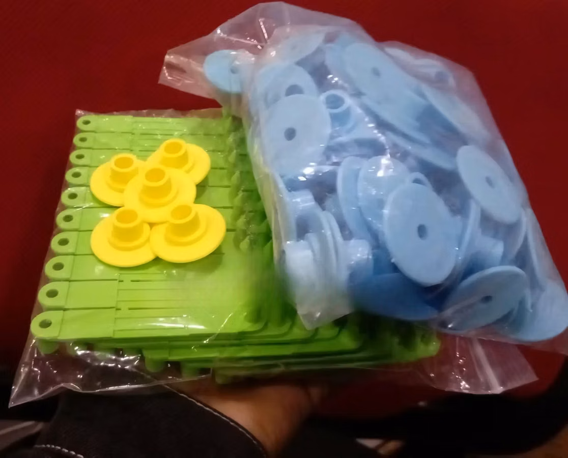 Yellow Customized by Numbers Round Ear Tags