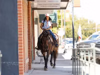 母马, Quarter Horse — 照片 3