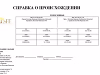 Баран, Восточно-фризская молочная овца — фото 3