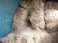 Boma Rhodes Grass Variety Square Bale of Dried Grass Hay — 照片 3