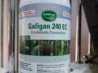 Galigan 240ec Selective Herbicide For Onions 1l — foto 4