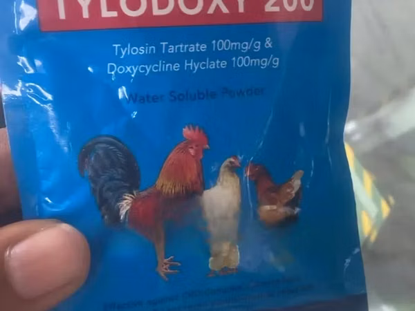 Tylodoxy 200 Water-Soluble Powder Antibiotic for Veterinary on Poultry