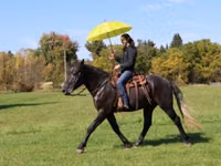 Farasi dume, Hunter — picha 7