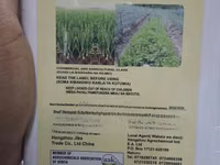 Oxyfen 24%Ec 1litre Onion Herbicide — picha 1