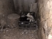 Indias Orientales — foto 4
