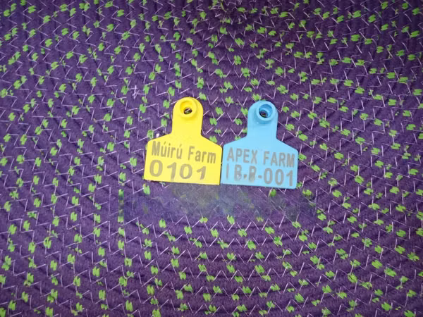 Laser Print Fade-Resistant Numbered Small Tags