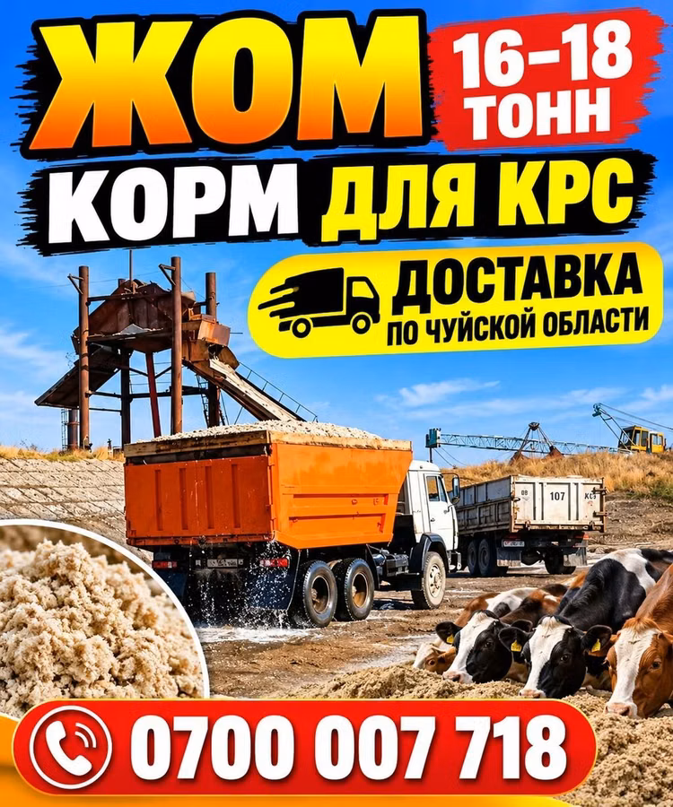 Жом — корм для КРС. Отгрузка самосвалами 16–18 тонн. - Питательный