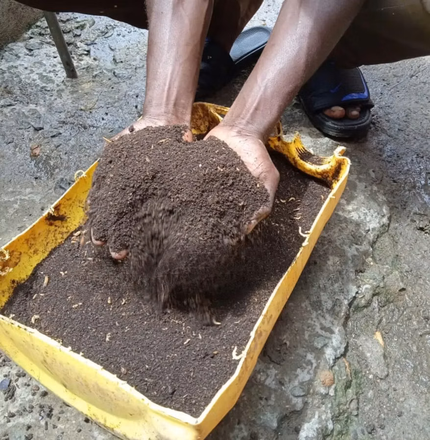 Black Soldier Fly Frass. ( Organic Fertilizer ) 25 KGS