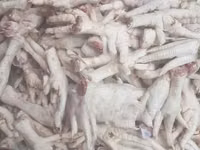 Chicken Feet — фото 2
