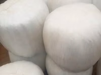 Premium Full-Corn Silage Ready for Collection / Delivery — foto 1