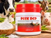 Peek Dicalcium Phosphate — picha 2