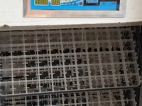 Electric Egg Incubator — picha 5