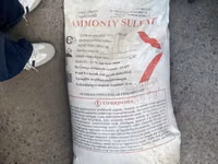 Mineral o’g’itlar kaliy sulfat Ammony — الصورة 5