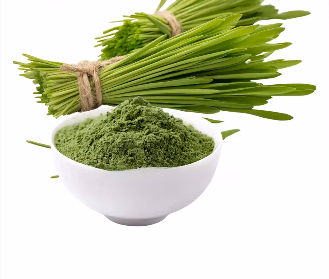 Barley Grass Powder 100g.