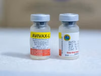 Newcastle Disease Vaccine for Chickens — фото 2