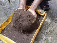 Black Soldier Fly Frass. ( Organic Fertilizer ) 25 KGS — picha 1