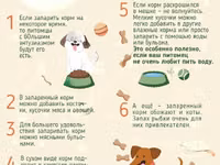 Корм для собак экструдированный — picha 2