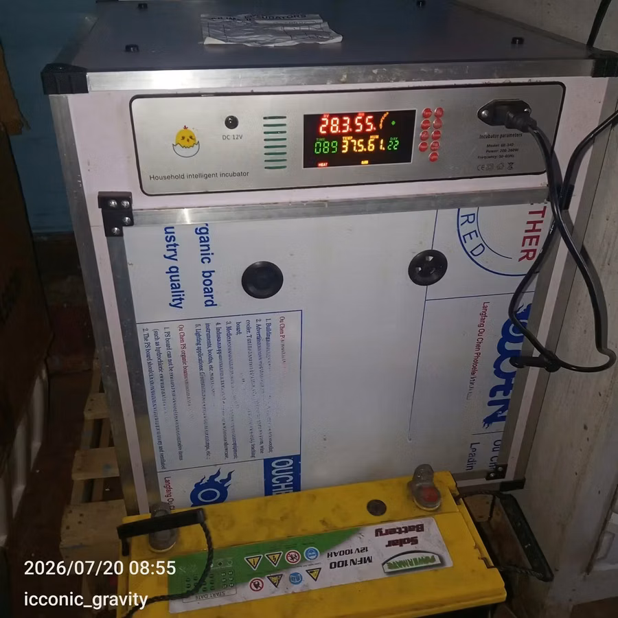 Incubator Machine 204 Eggds