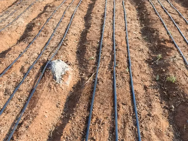 Drip Installation 1/2 Acre Kit
