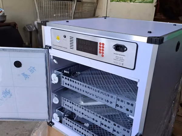 204 Eggs Incubator, Egg Incubator