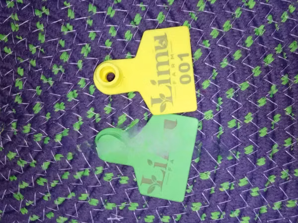 Numbered Goats Colored Ear Tags