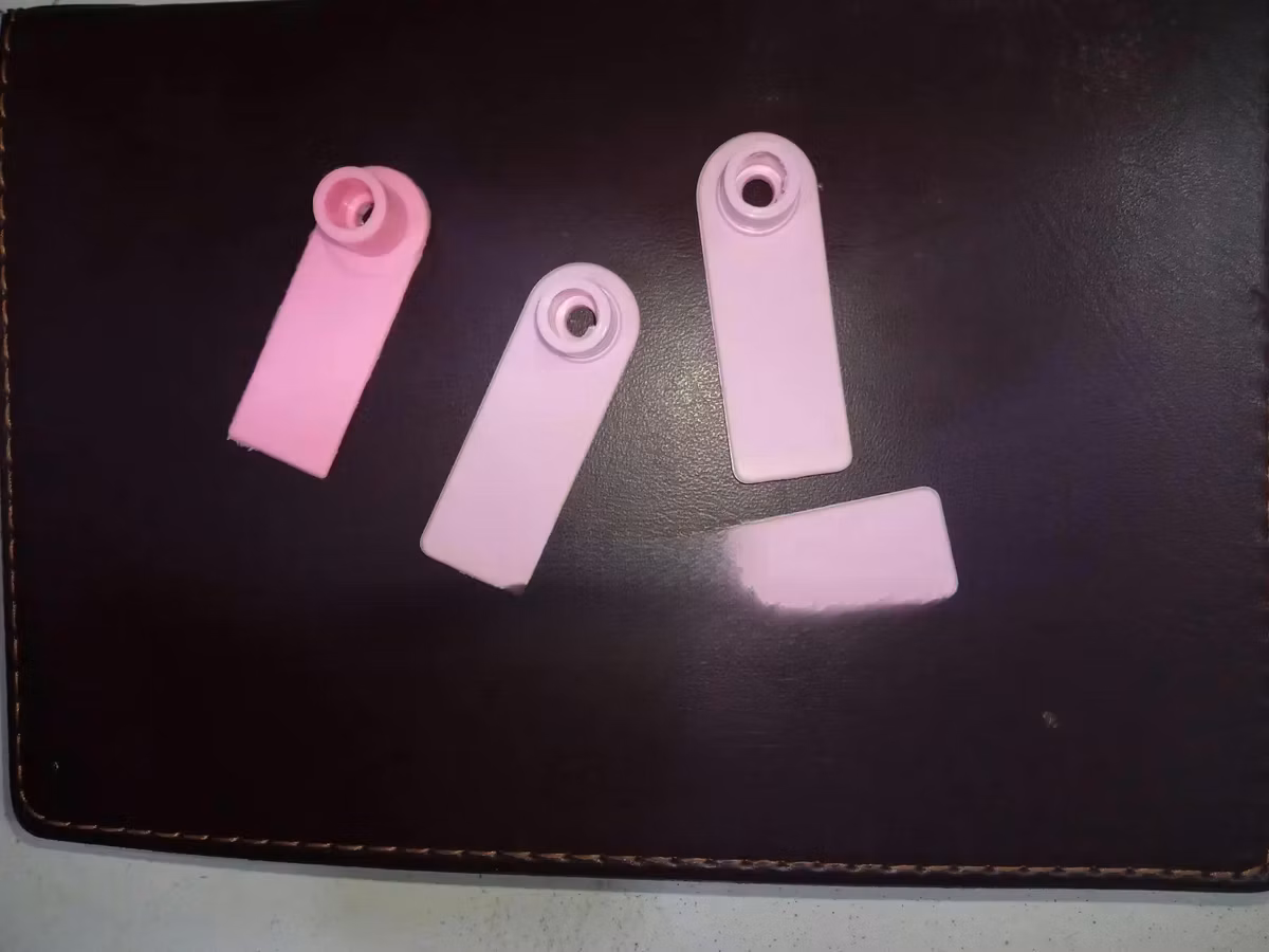 Ear Tags - Smooth Finish