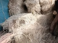 Boma Rhodes Grass Variety Square Bale of Dried Grass Hay — 照片 2