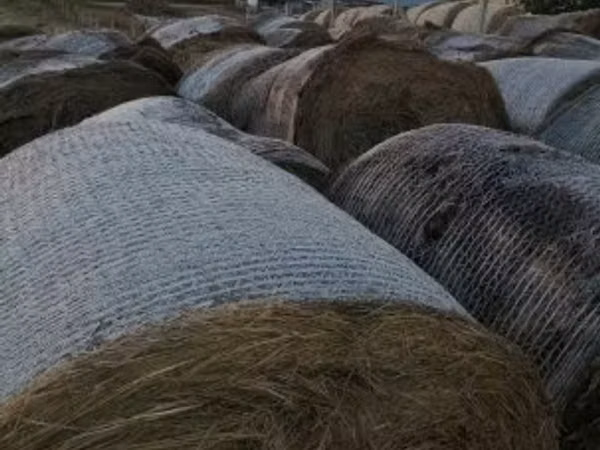körbálás tavalyi széna