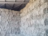 Eragrostis bales - Small (For Sale) — picha 1