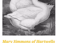 Ducks — फ़ोटो 6