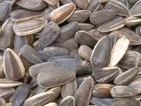 Sunflower Seeds Non Gmo — picha 1