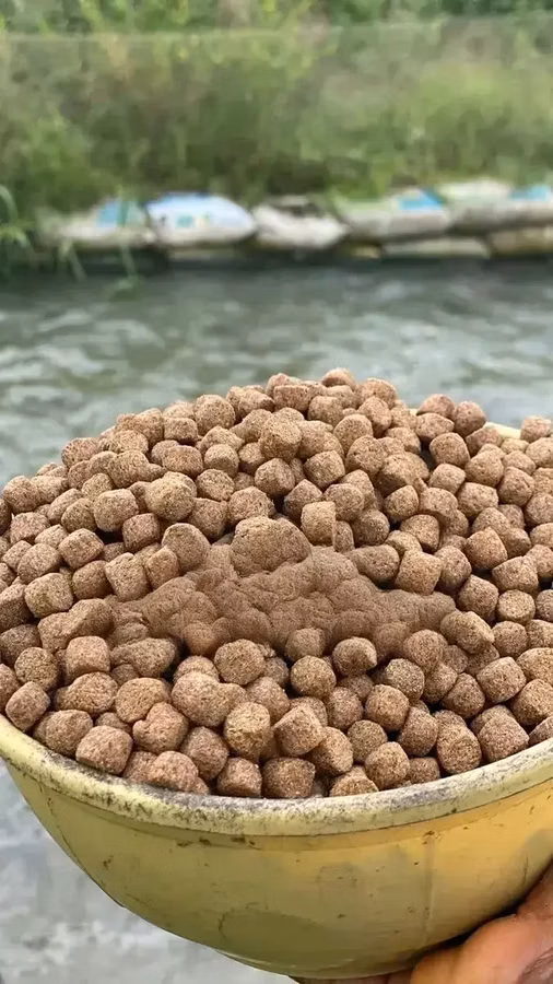 Fish Feeds on Sale